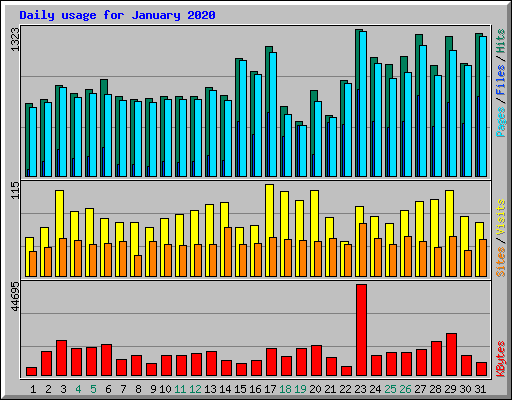 Daily usage for January 2020