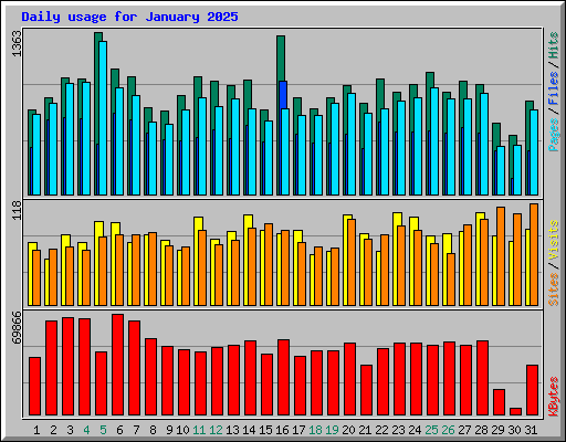 Daily usage for January 2025