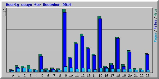 Hourly usage for December 2014