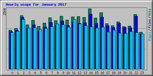 Hourly usage for January 2017