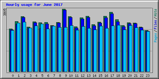 Hourly usage for June 2017