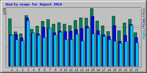 Hourly usage for August 2018