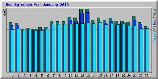 Hourly usage for January 2019