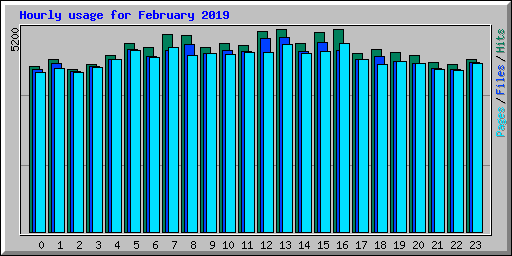 Hourly usage for February 2019