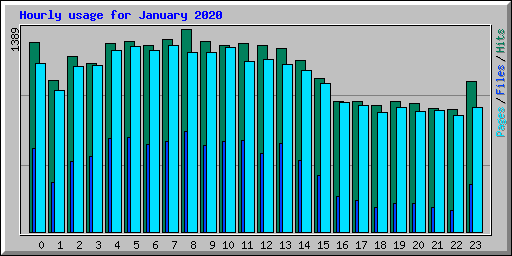 Hourly usage for January 2020