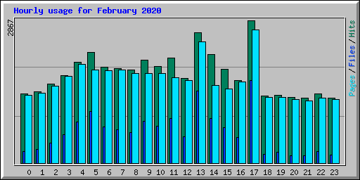 Hourly usage for February 2020
