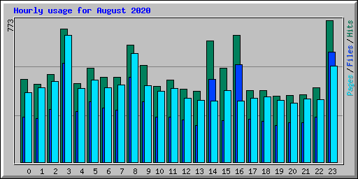 Hourly usage for August 2020