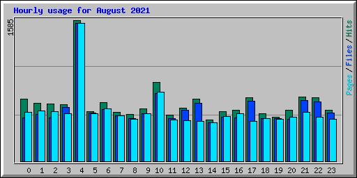 Hourly usage for August 2021