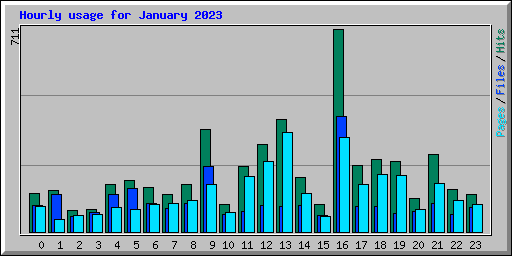 Hourly usage for January 2023