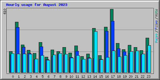 Hourly usage for August 2023