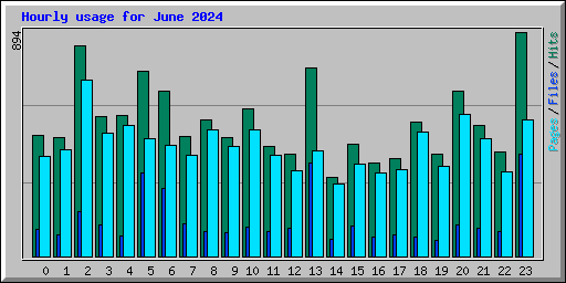 Hourly usage for June 2024