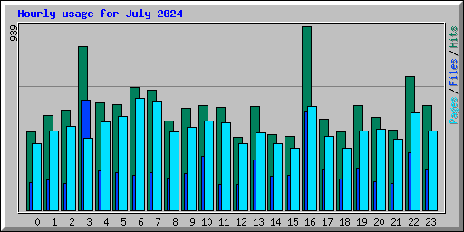 Hourly usage for July 2024
