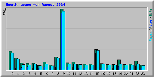 Hourly usage for August 2024
