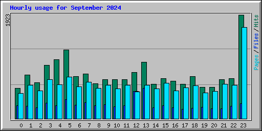 Hourly usage for September 2024