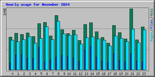 Hourly usage for November 2024