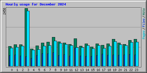 Hourly usage for December 2024