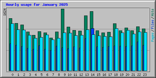 Hourly usage for January 2025