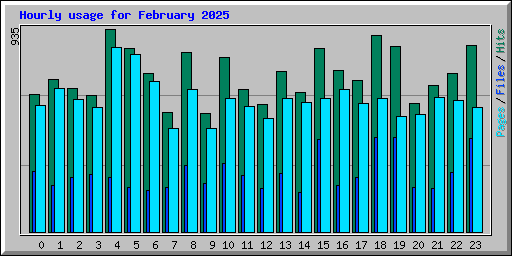 Hourly usage for February 2025