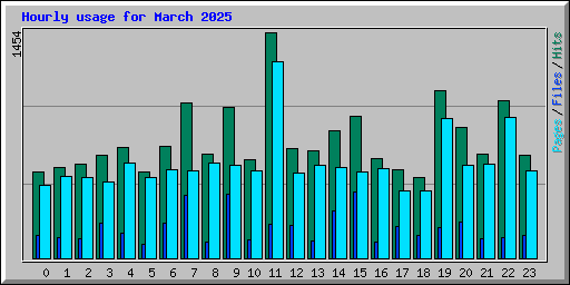 Hourly usage for March 2025