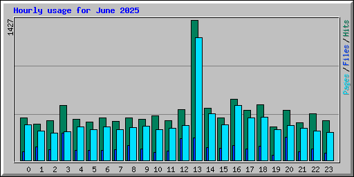 Hourly usage for June 2025