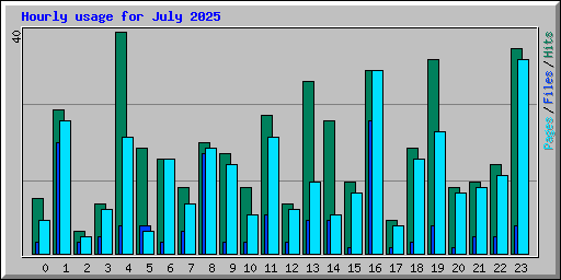 Hourly usage for July 2025