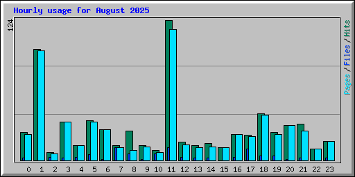 Hourly usage for August 2025