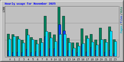 Hourly usage for November 2025